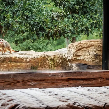 Βίλα Pyrenees Prestige - D'exceptions Et Hebergements Insolites Argelès-Gazost